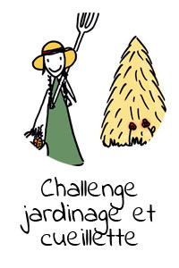 challenge-jardinage-et-cueillette-sauvage-en-ville-clementine-la-mandarine