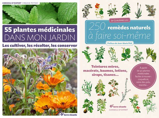 livres-plantes-medicinales-clementine-la-mandarine