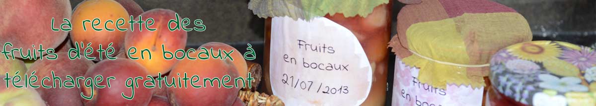 Es-tu cigale ou fourmi ? Ou comment -peut être- avoir des fruits d’été tout l’hiver