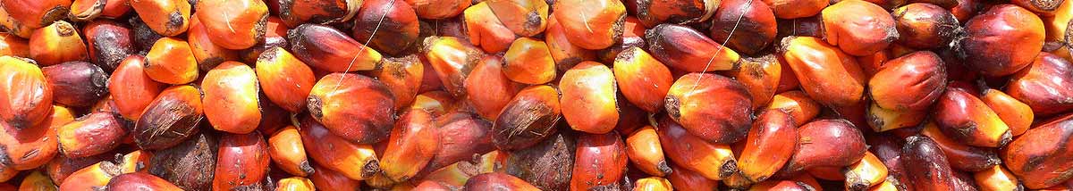 3 trucs faciles pour limiter ta consommation d’huile de palme