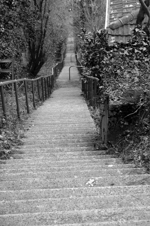 Les bonheurs de la semaine en photo