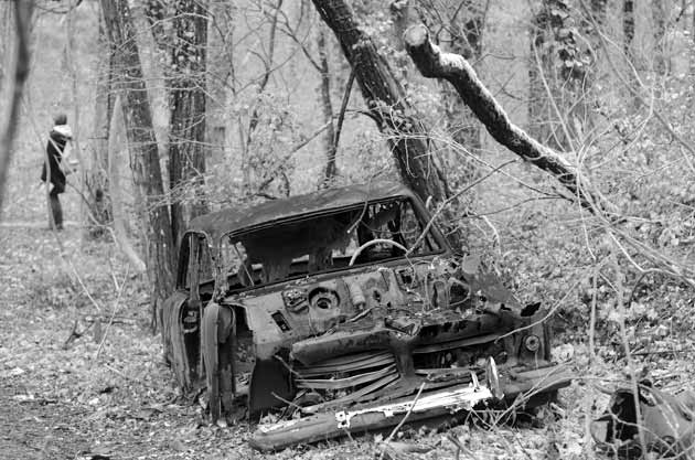 Pour voir les bons côtés de la vie : les moments heureux de la semaine