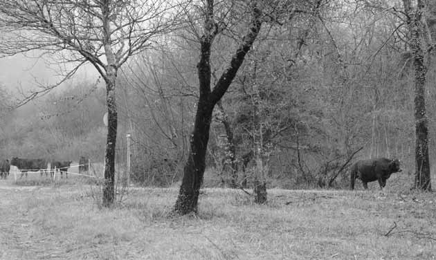 Les bonheurs de la semaine en photo