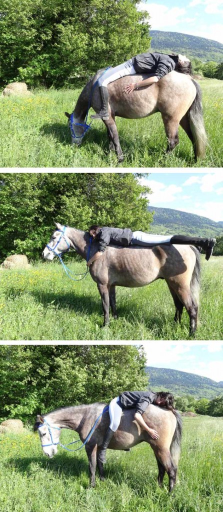 Lucie et Titan, une grande histoire d'amour