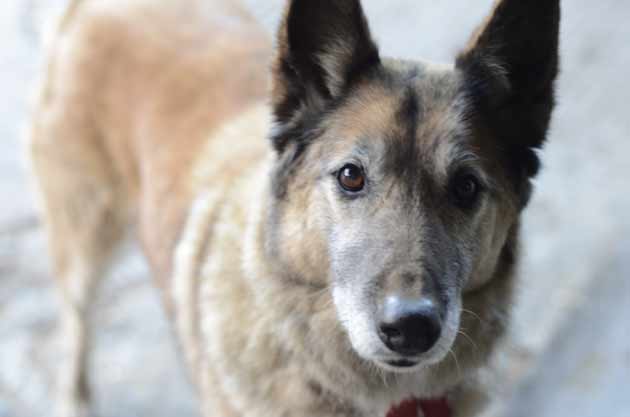 Bons moments de la semaine en photos