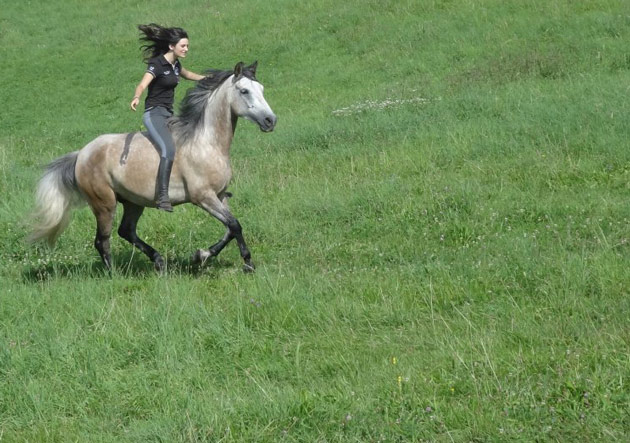 Lucie et Titan, une grande histoire d'amour