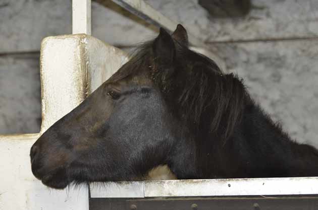 Etre heureuse passe par voir les petits bonheurs quotidien