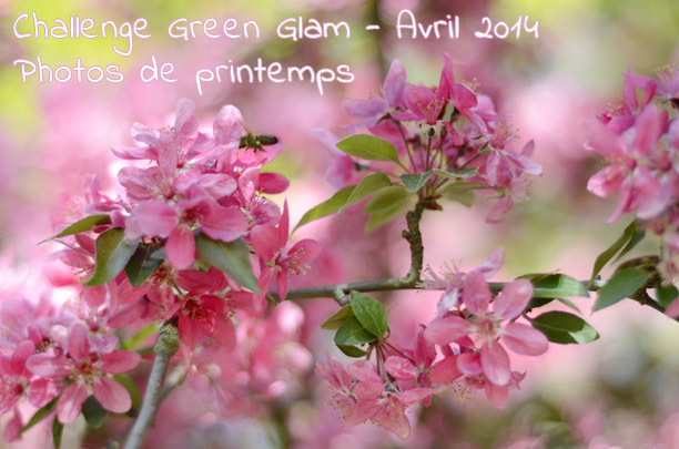 Challenge Green Glam : photos de printemps