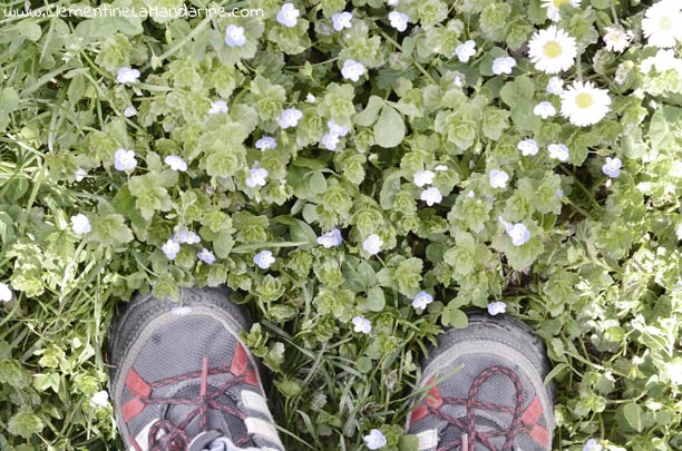 Challenge green glam : prends le temps de voir les beautés de la nature, même en ville