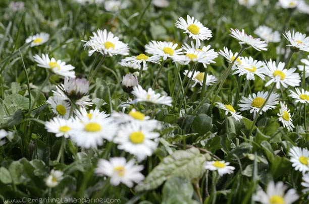 [Challenge] Prends deux minutes par jour pour toi, rien que toi