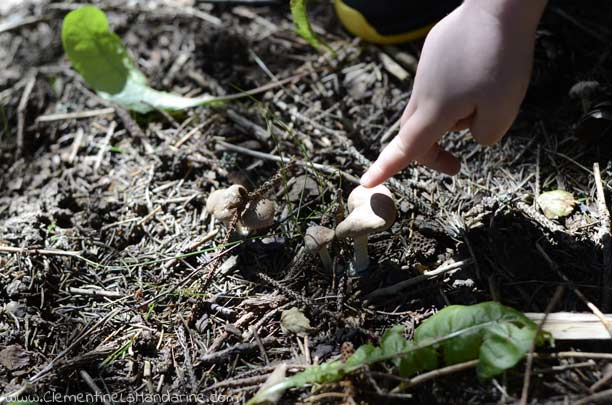 La promesse de partir à l'aventure dans la nature se ressourcer