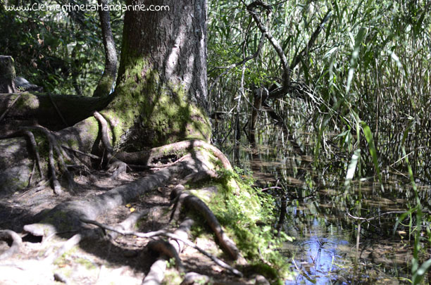 La promesse de partir à l'aventure dans la nature se ressourcer