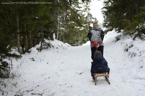 Partir à l'aventure près de chez soi : la luge