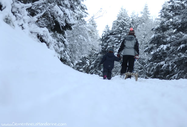 La neige, la montagne, la luge : les bonheurs de l’hiver !