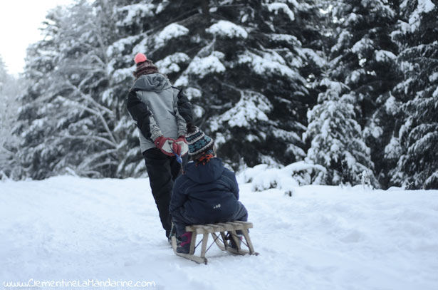 la-luge-sur-les-chemins-forestiers-clementine-la-mandarine