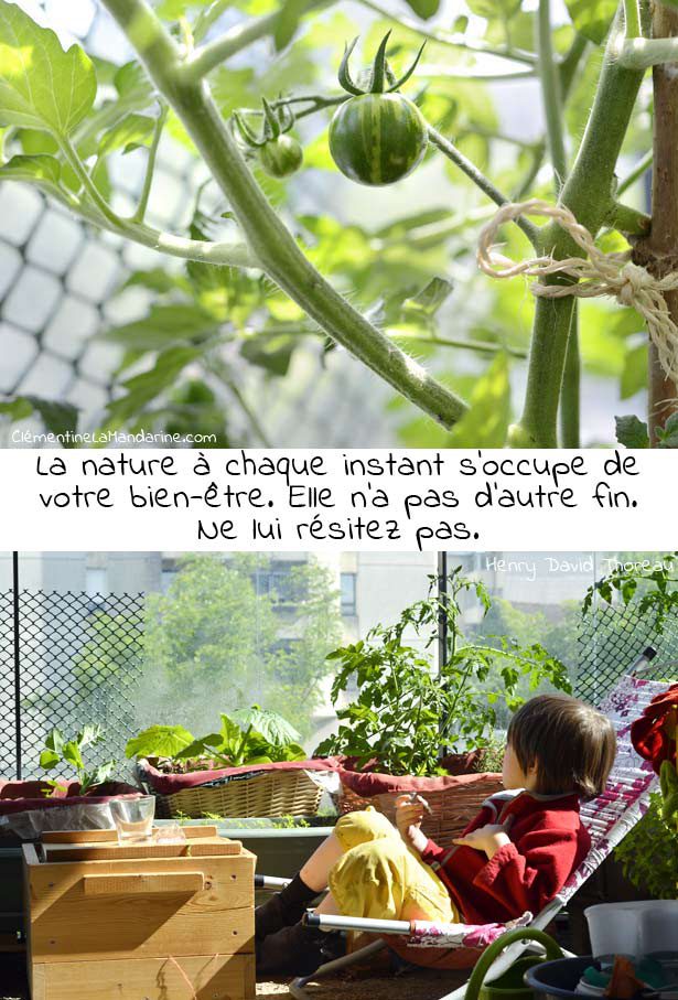 happy-week-end-clementine-la-mandarine