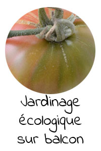 jardinage-ecologique-sur-balcon-clementine-la-mandarine