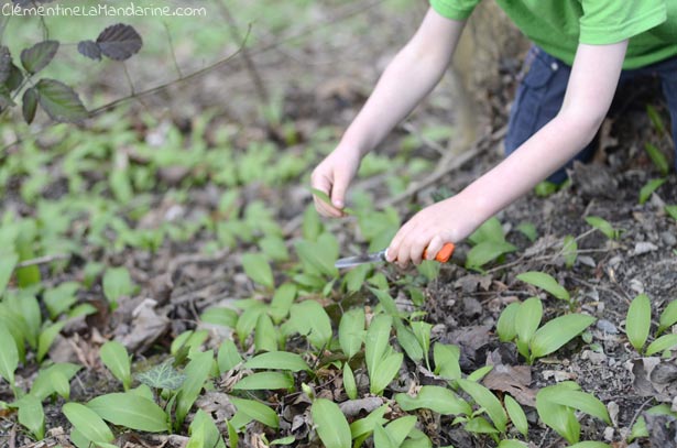 la formation passeur de nature pour apprendre aux enfants à aimer la nature et la protéger