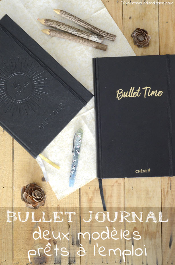 Découvrez le Bullet Journal prêt à l'emploi : My Agenda !