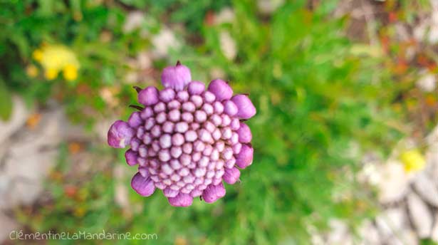 Journal d&rsquo;une reconfinée #10