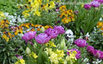 Journal d’une reconfinée #3