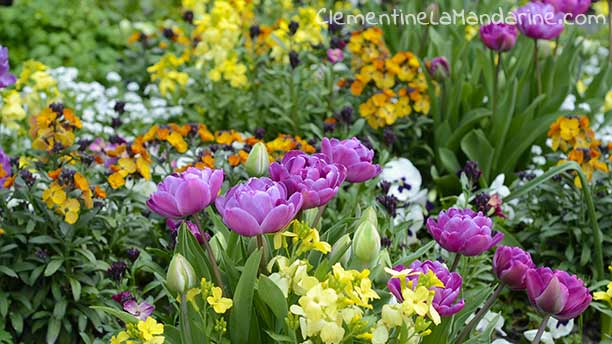 Journal d&rsquo;une reconfinée #3