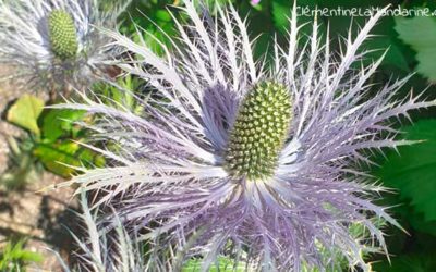 Journal d’une reconfinée #9