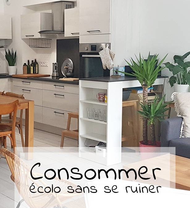 Consommer écolo sans se ruiner #4
