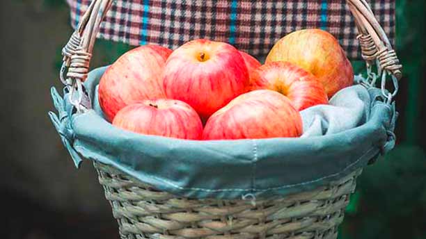 Comment consommer écolo sans se ruiner ? #2