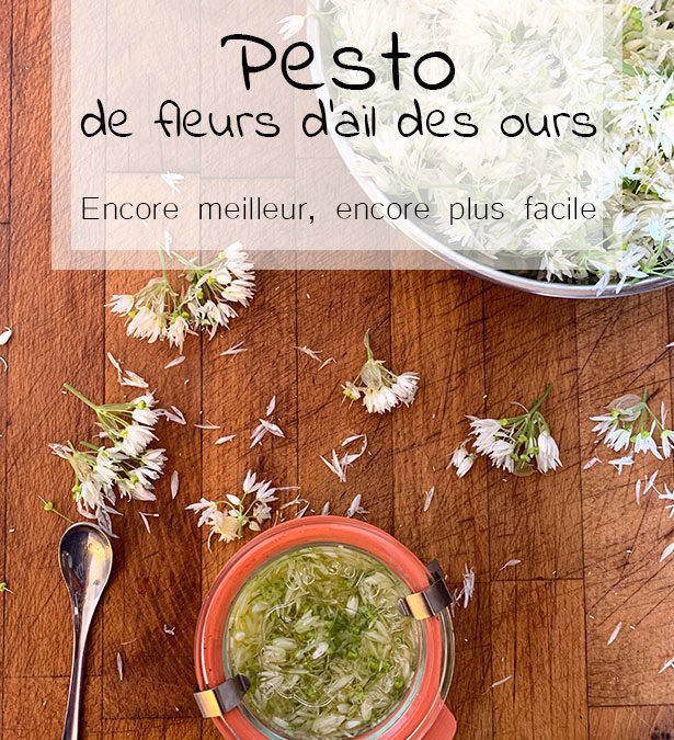Pesto de fleurs d&rsquo;ail des ours