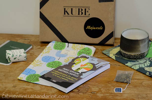 La kube : une box lecture personnalisé, avec des jolis cadeaux