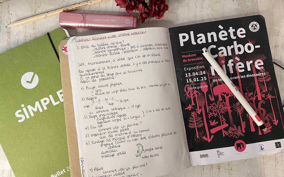 [Bullet Journal] L&rsquo;agenda bullet