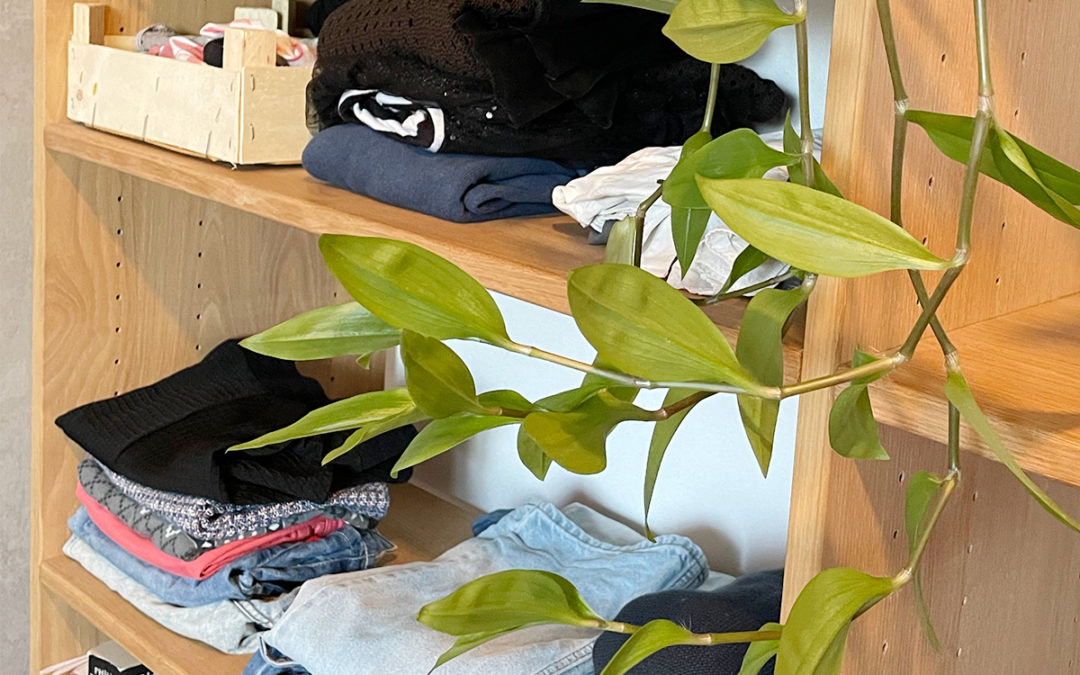 Garde-robe capsule, automne – hiver 2024