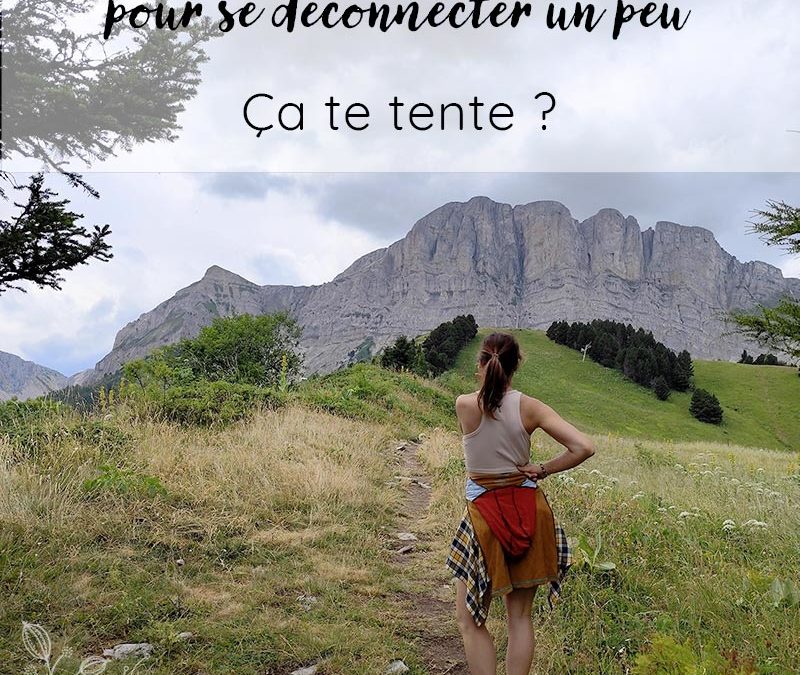 Cet été, on déconnecte ?