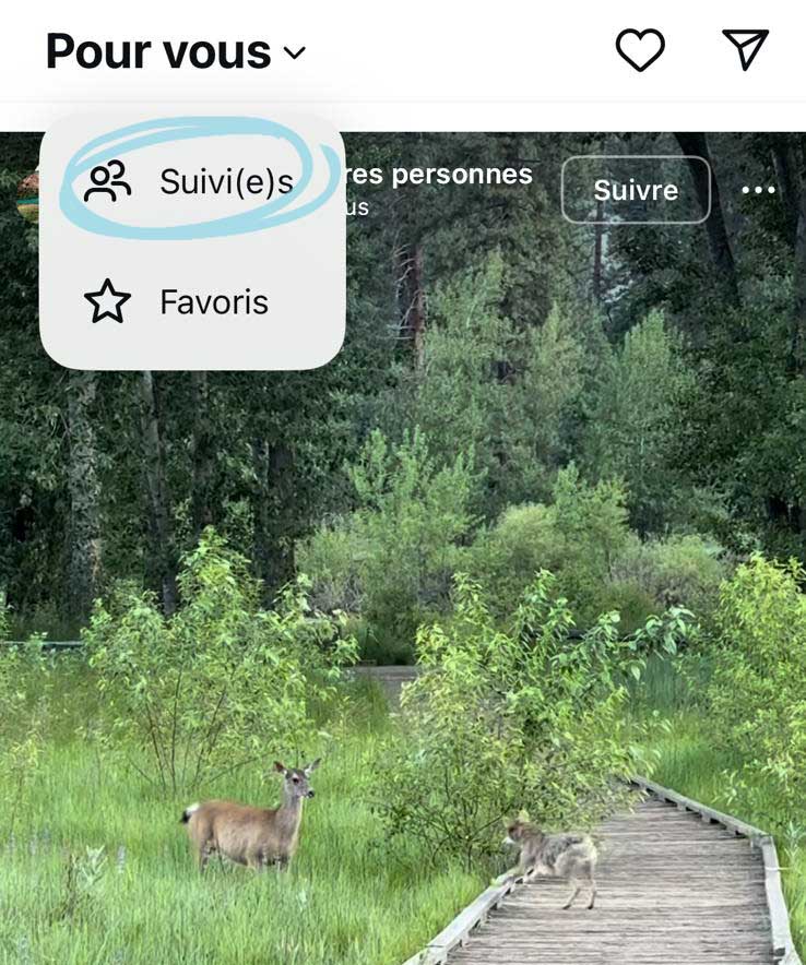 Image montrant comment changer son fil d'actualité Instagram pour n'avoir que les personnes que l'on suit dans son feed