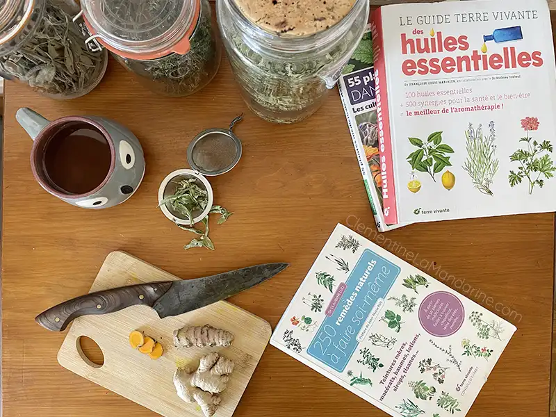 Ensemble de livres et herbes et racines pour des tisanes