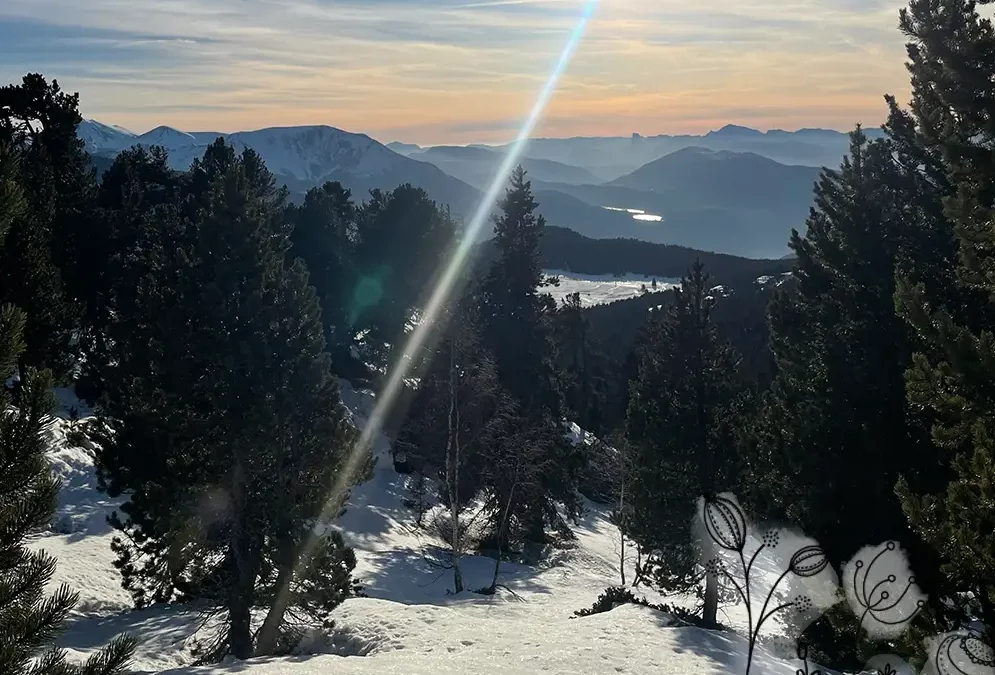 Se ressourcer dans la nature et… ?