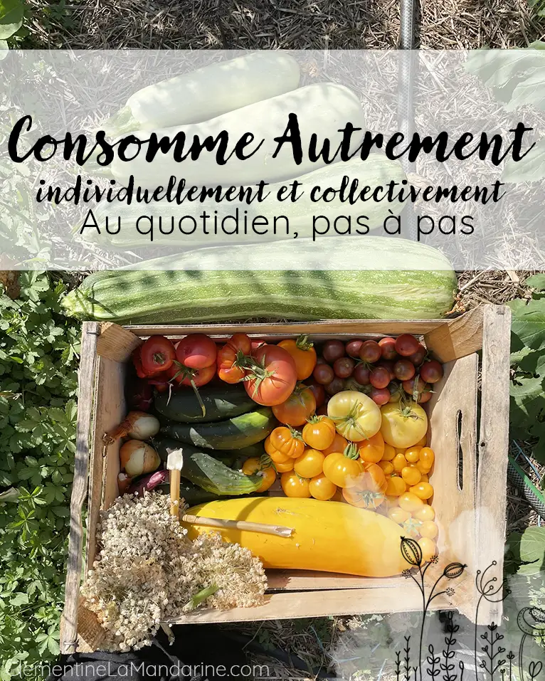 consommer autrement clementine la mandarine