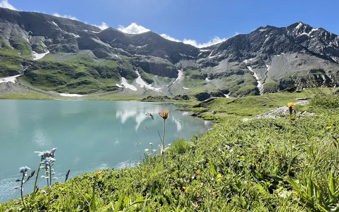 Comment ne pas être un·e monchu·e #2- ne pas se baigner dans les lacs de montagne